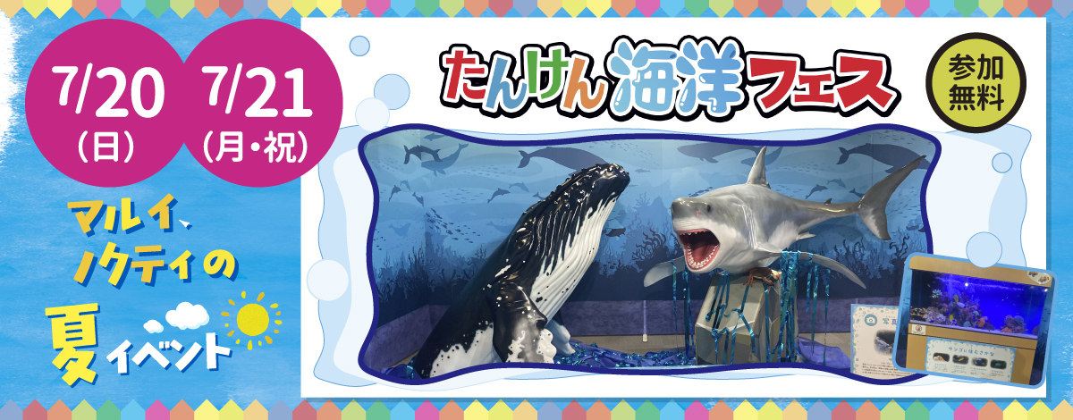 【マルイ × ノクティ 夏イベント】 たんけん海洋フェス