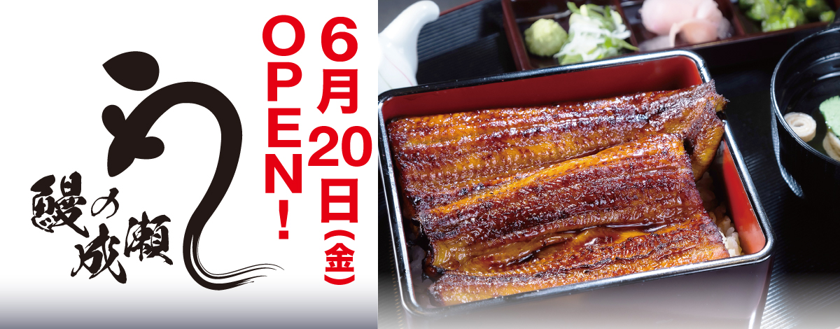 【NEW SHOP OPEN】鰻の成瀬
