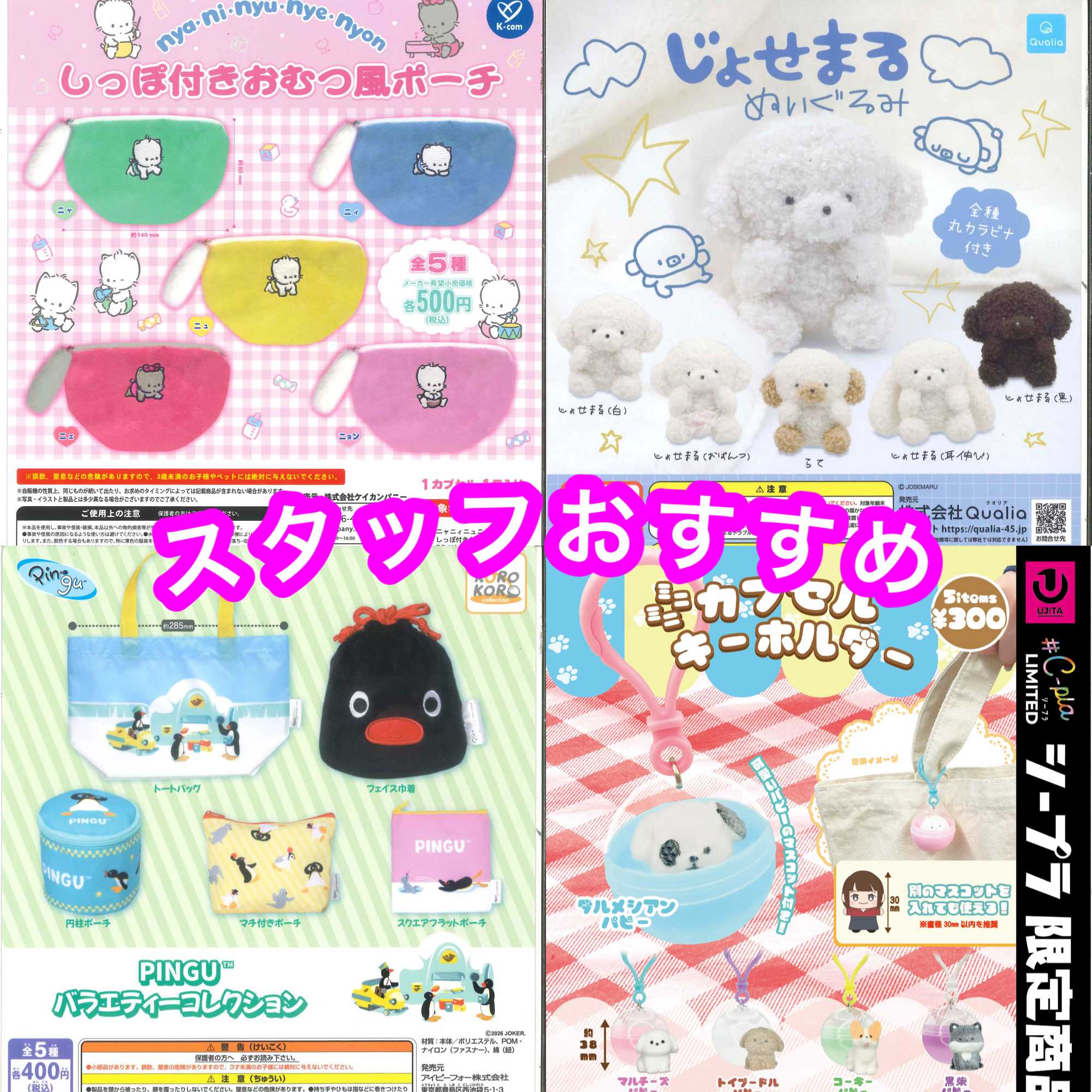 スタッフおすすめ