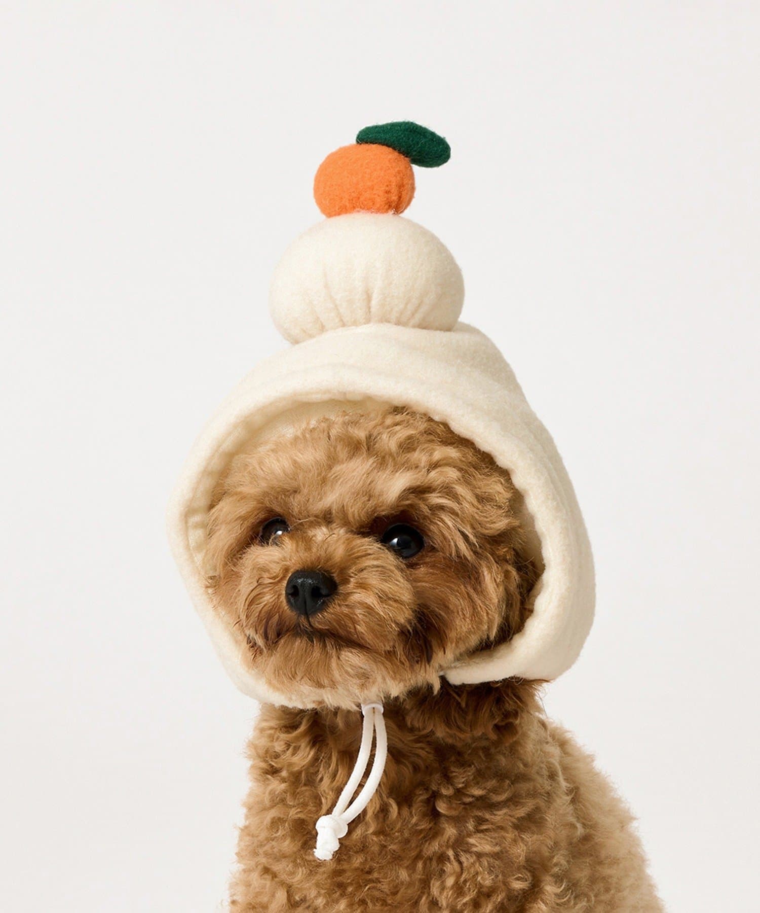 ペット用鏡餅のかぶり物 ￥550(税込)