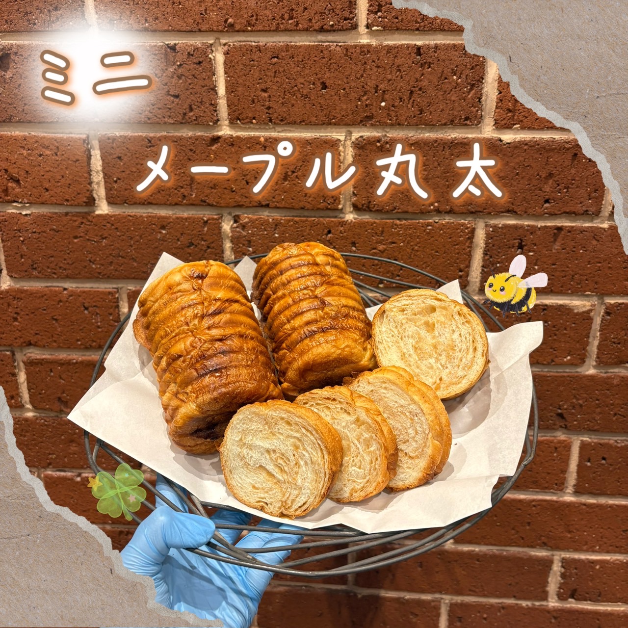 【週末登場！】ミニメープル丸太