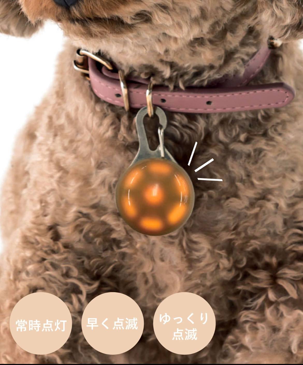 お散歩ライト　￥330(税込)