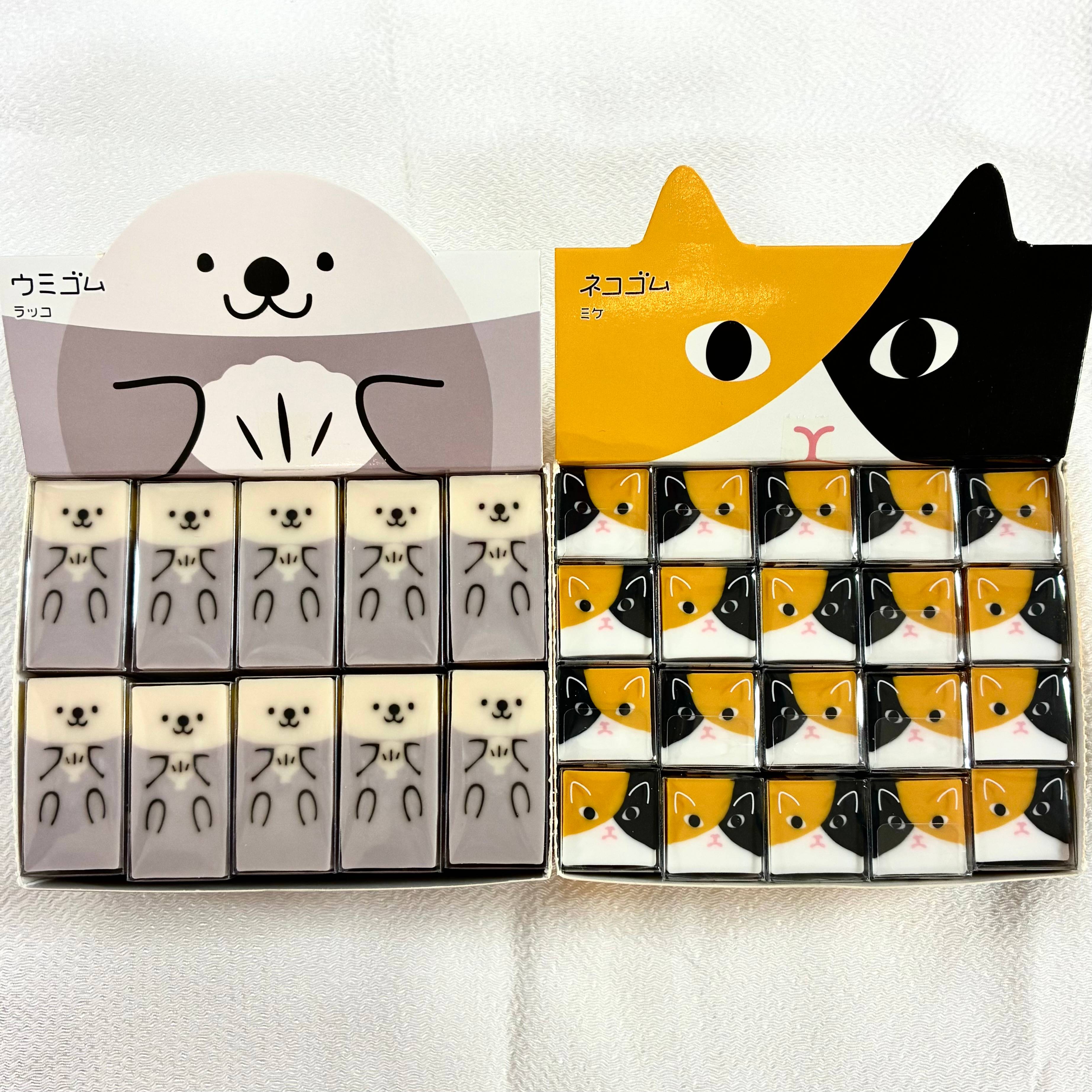 育てる消しゴムシリーズに新たな仲間☆