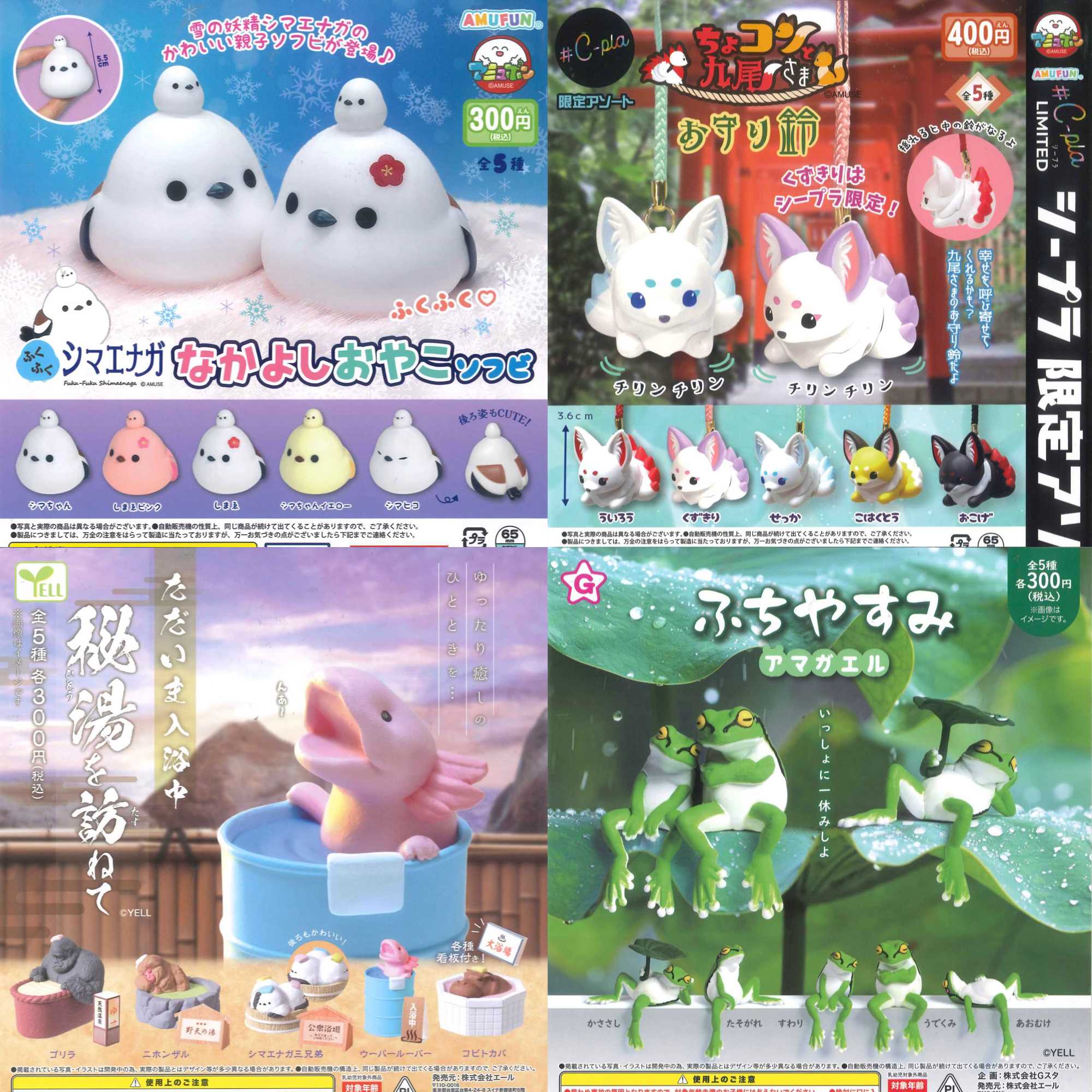 新商品入荷情報