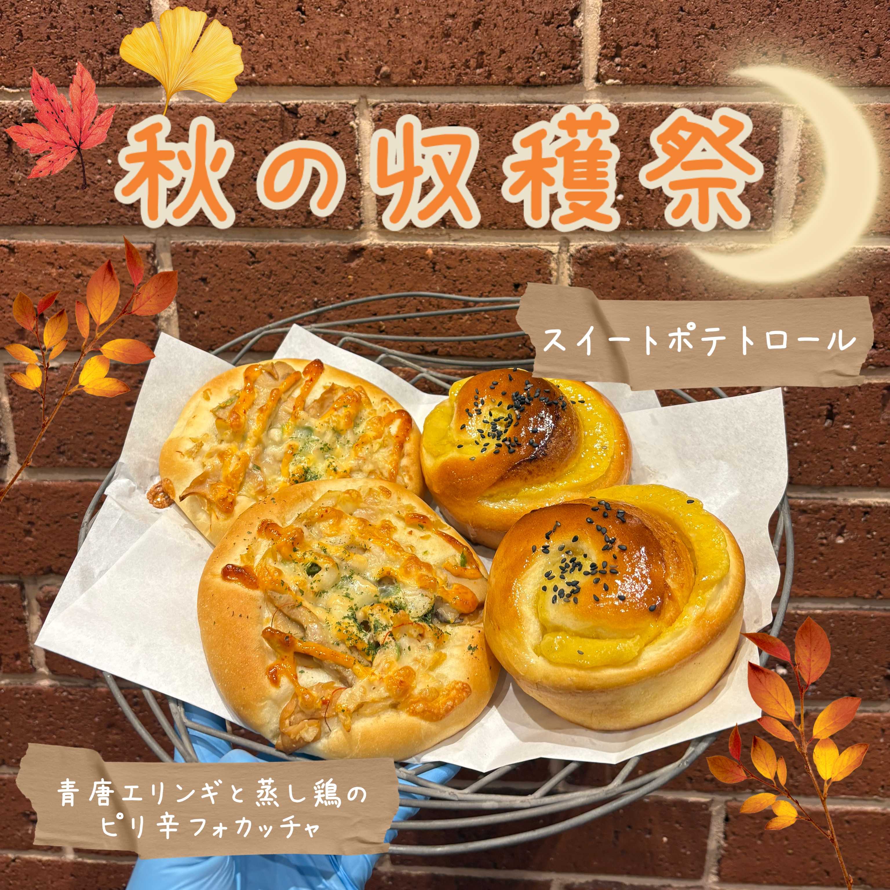 秋の収穫祭開催!