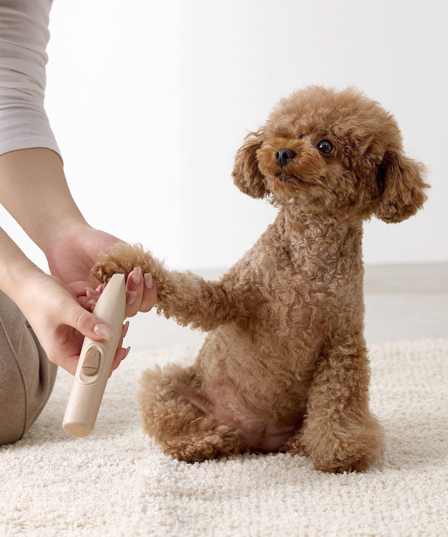 ペットケアグッズ