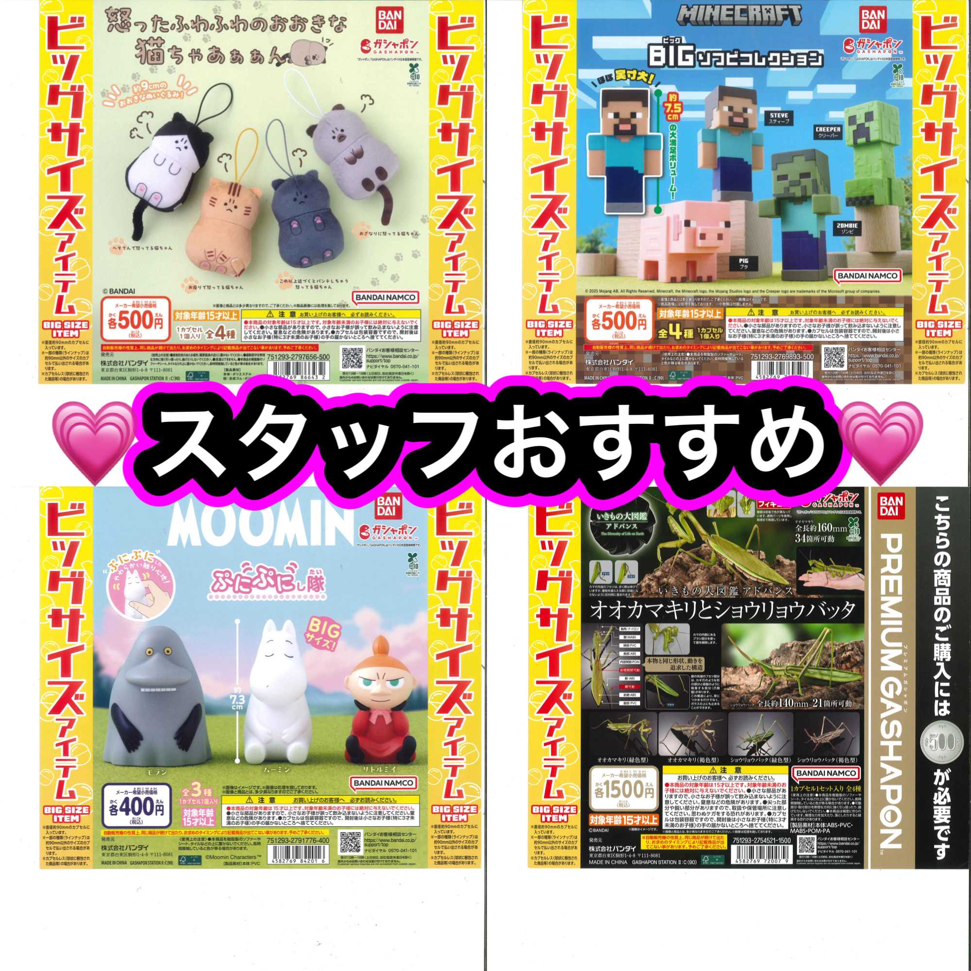 スタッフおすすめ