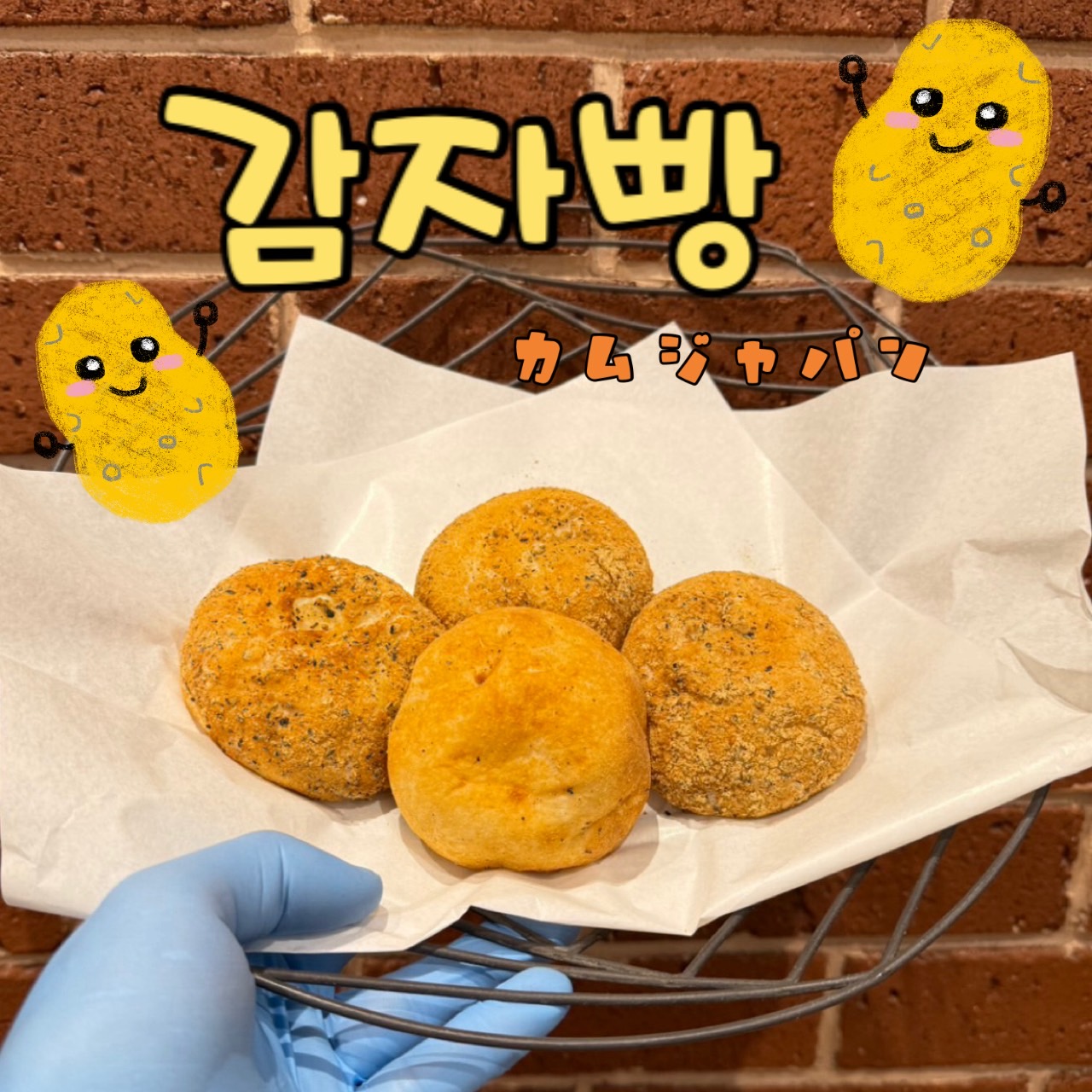 【週末限定】カムジャパン