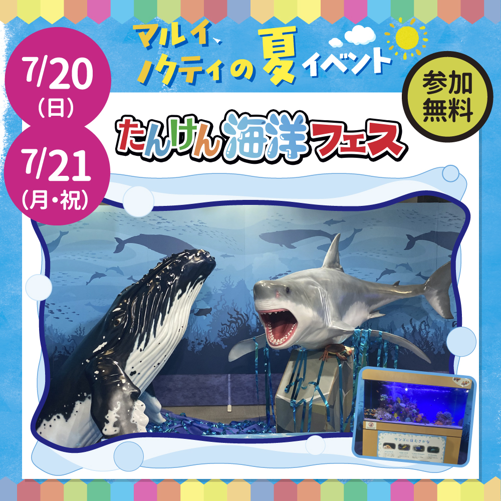 【マルイ × ノクティ 夏イベント】 たんけん海洋フェス